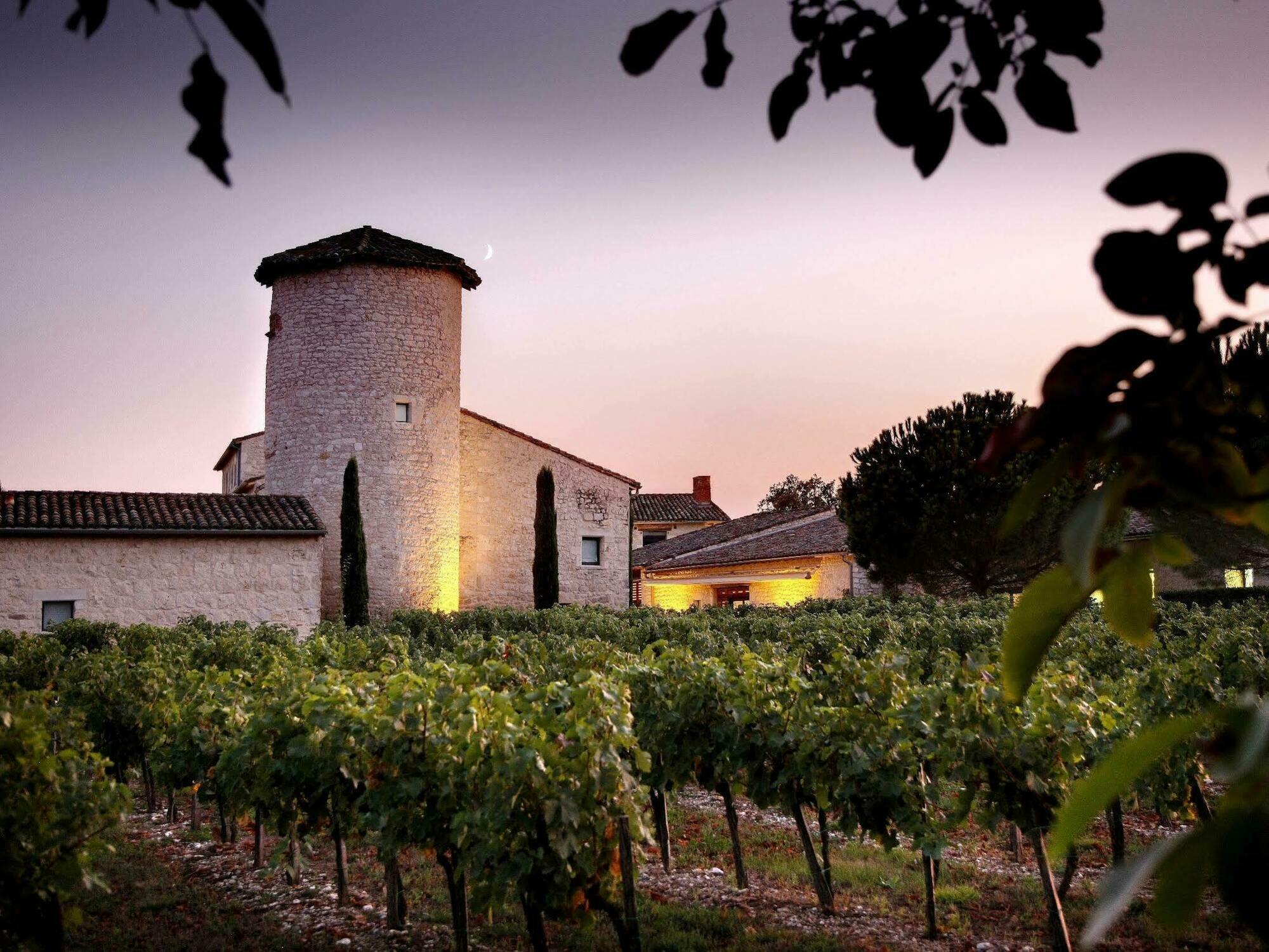 Chateau De Salettes Cahuzac-sur-Vere Bagian luar foto